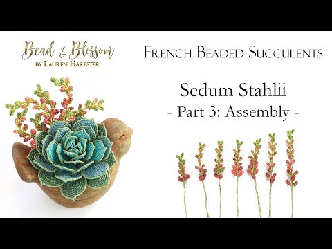 French Beaded Succulents | Sedum Stahlii Part 3 of 3: Assembly