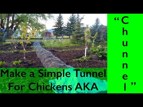 DIY Chicken Tunnel AKA 