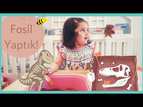 Dinozor Fosili Oyunu | Okul Öncesi Etkinlikleri