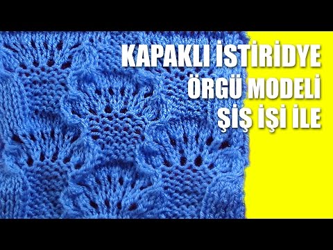 KAPAKLI İSTİRİDYE Örgü Modeli - Şiş İşi İle Örgü Modelleri