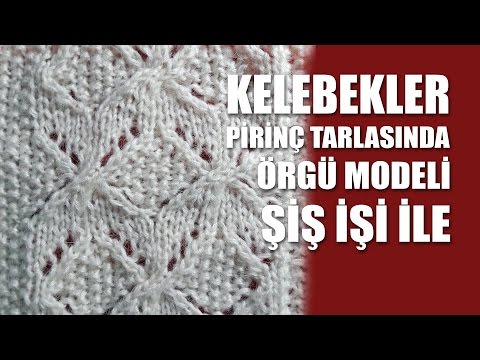 KELEBEKLER PİRİNÇ TARLASINDA Örgü Modeli - Şiş İşi İle Örgü Modelleri