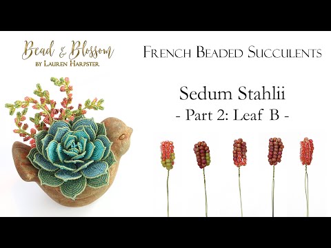 French Beaded Succulents  |  Sedum Stahlii Part 2 of 3: Leaf B