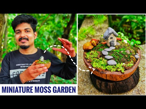 HOW TO MAKE MOSS GARDEN | COCONUT SHELL MOSS GARDEN | MINIATURE GARDEN | GREEN TOONS