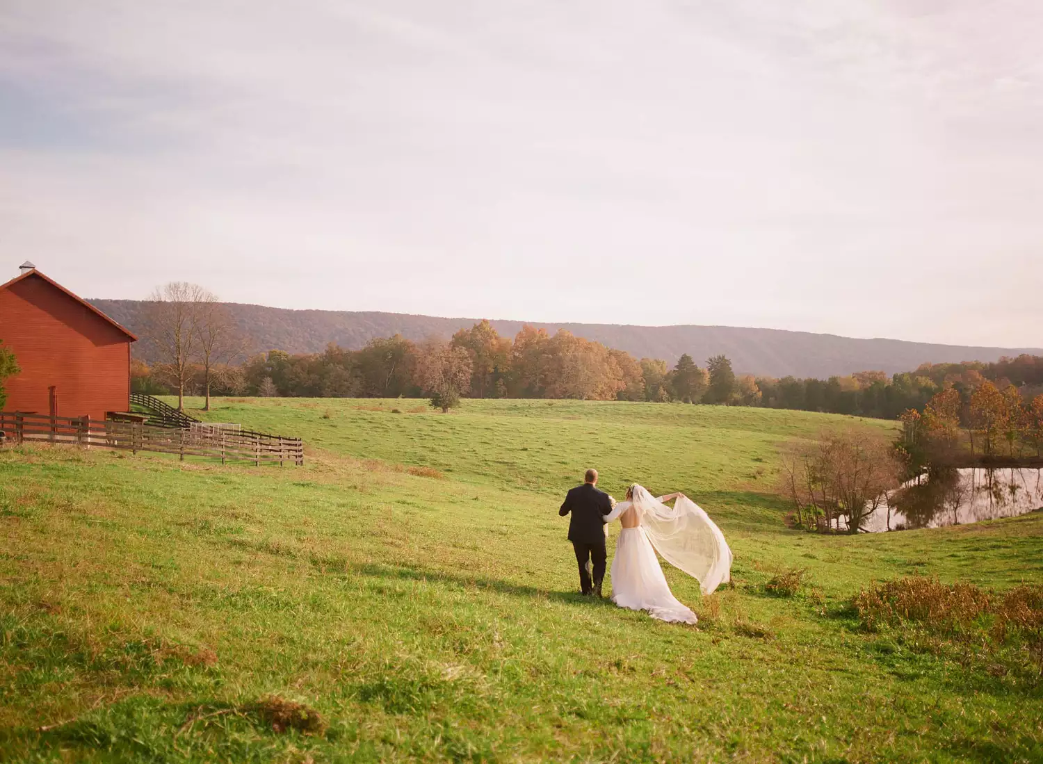 Bride and groom walking across a field on a farm during a rustic farm wedding.
