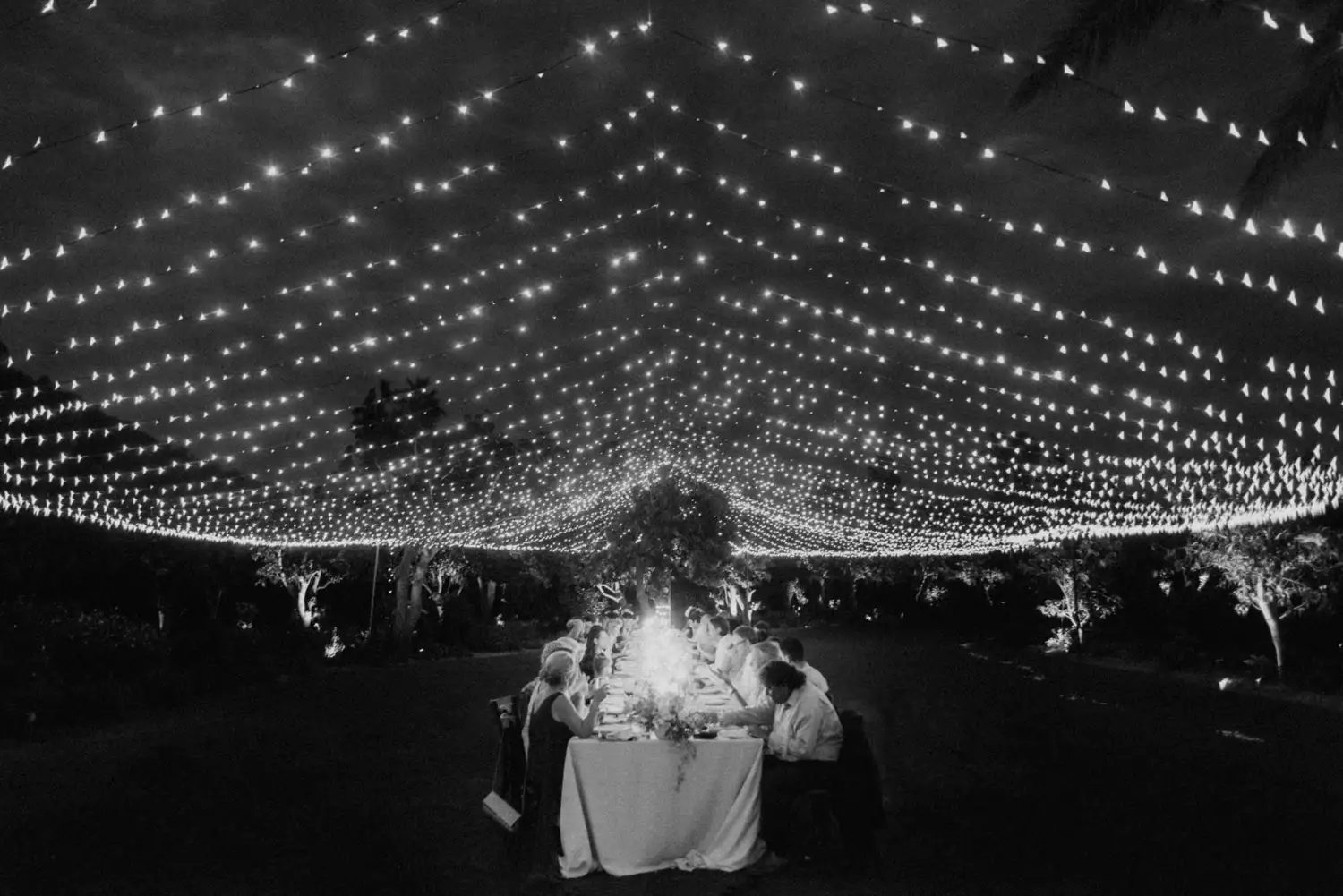 Guests Seated at Long Table During Outdoor Wedding Reception with String Lights Overhead