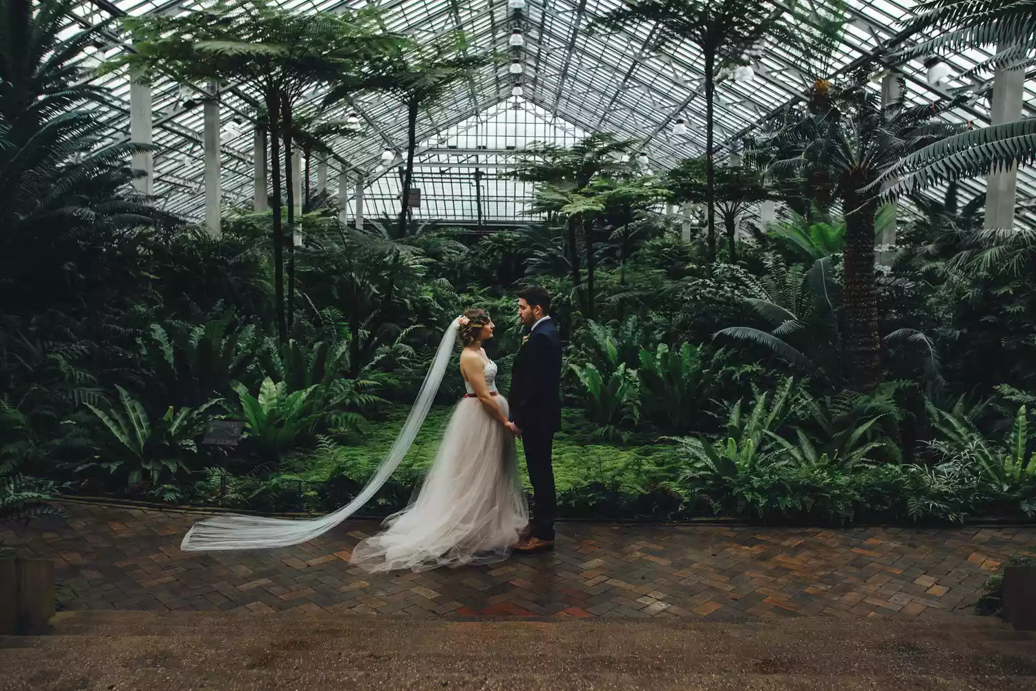 bride and groom standing inside a greenhouse holding hands