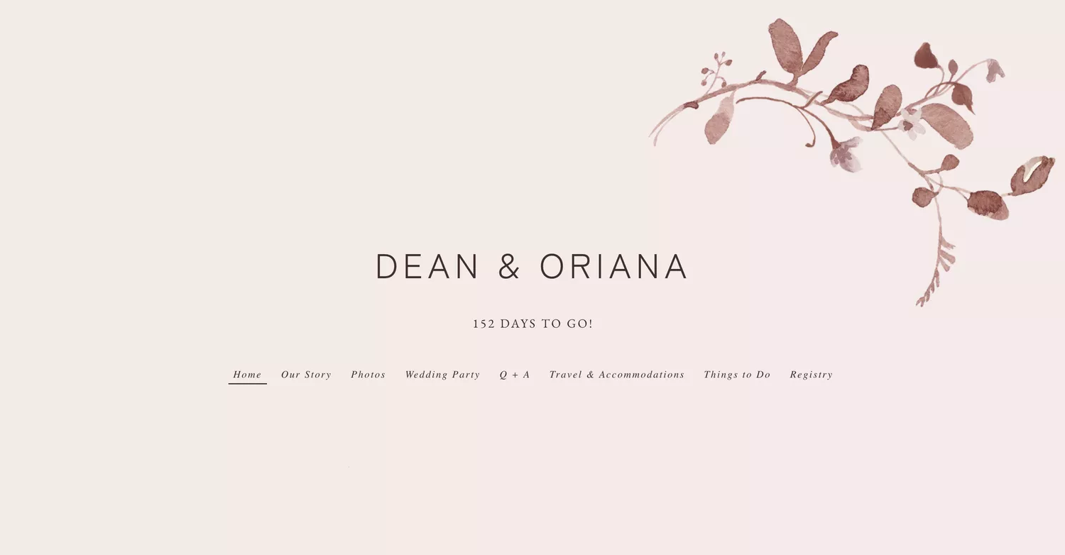 plain pink wedding website