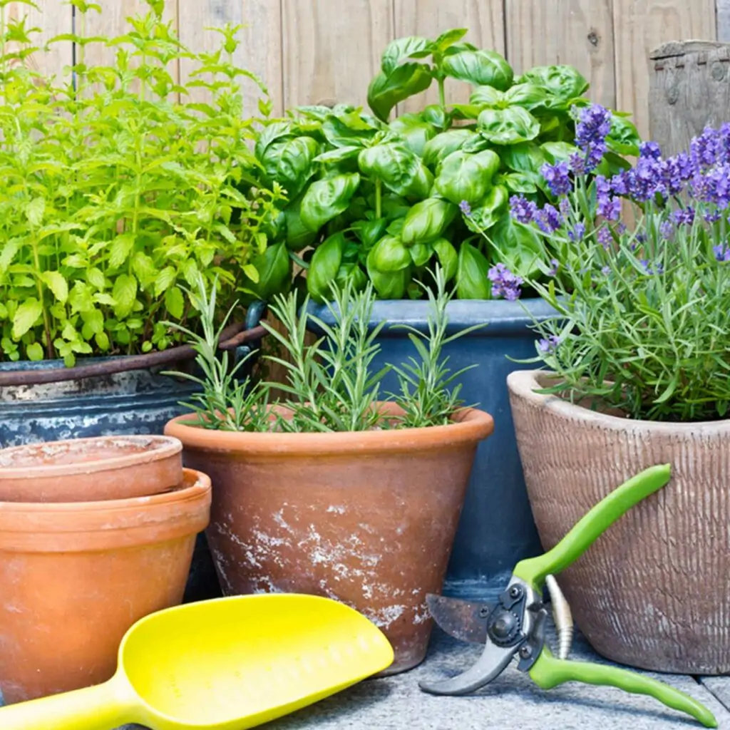 Get greenery with these styles of plants growing in your balcony which is great for balcony garden decoration