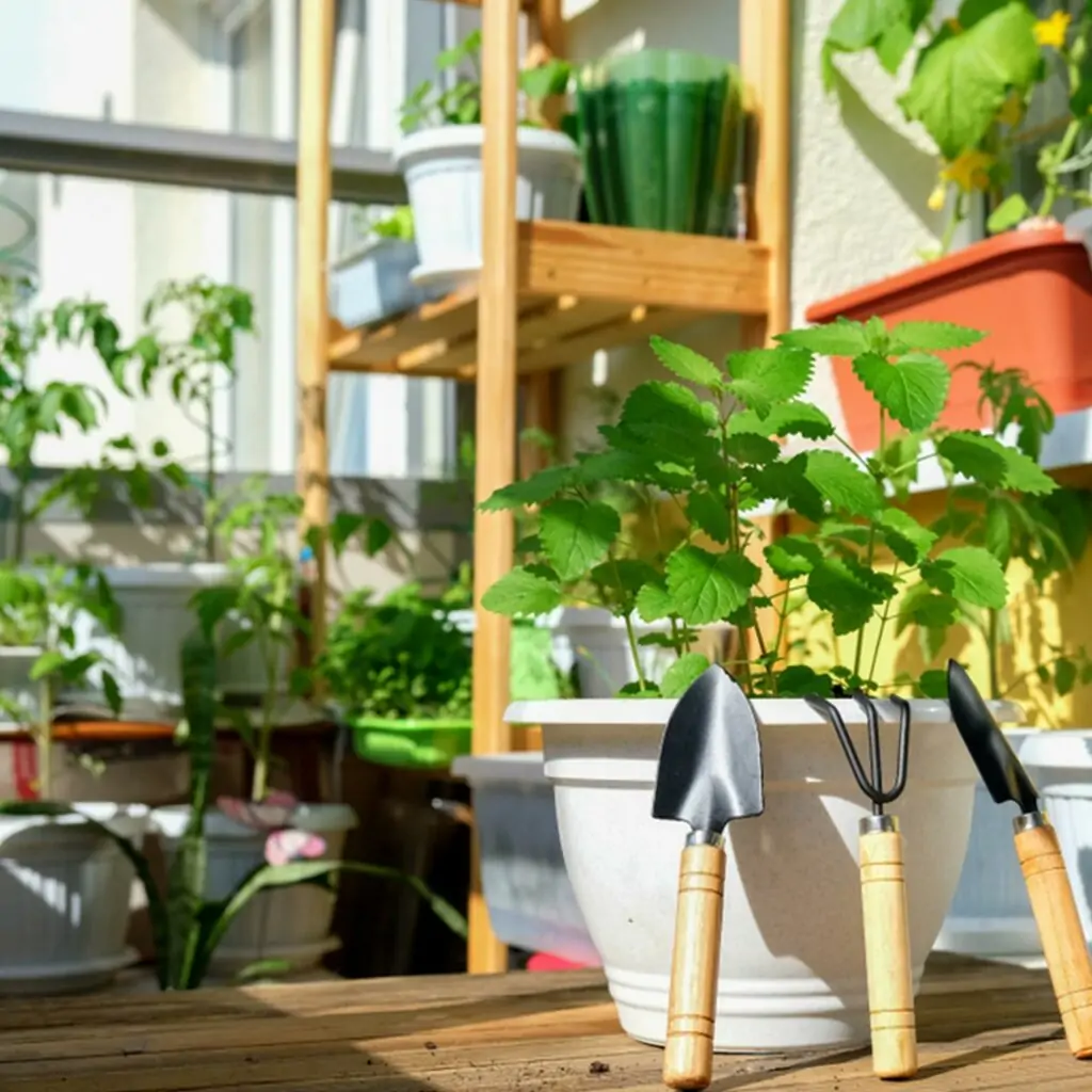 Small beautiful garden with pots and inspires for balcony garden design for home