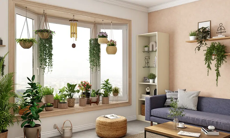 Bedroom bay window with plants and mini garden for relaxation
