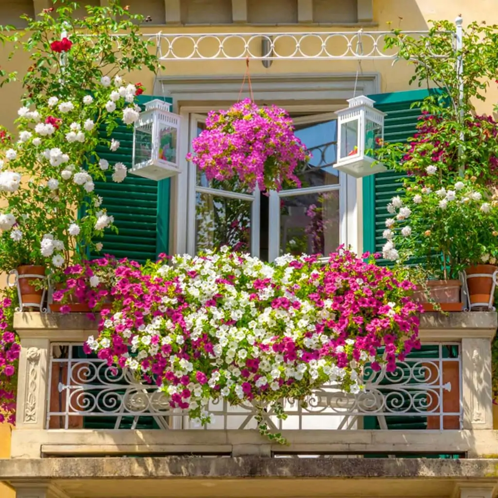 European style balcony design with flowers and plants which is an idea for balcony garden ideas india