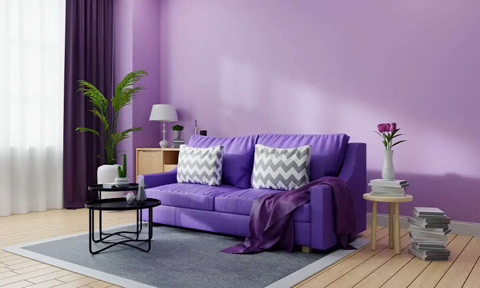 Interior hall wall colour combination in the shades of purple to add drama
