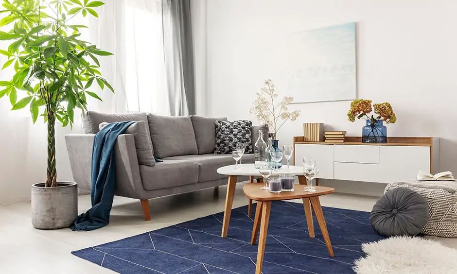 Simple home decor ideas for a small living room floor covered up with blue patterned rug