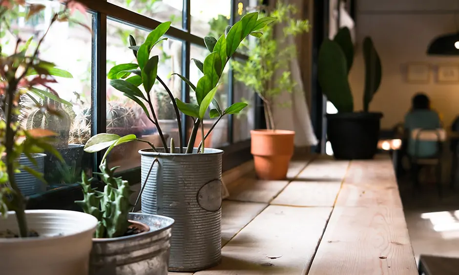 Utility room layout ideas make a place for a herb garden or to grow some vegetables is perfect for a home garden