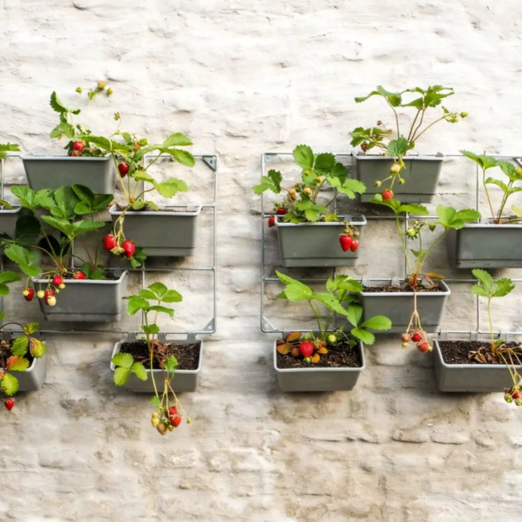 Plants and pots hanging in the balcony in a vertical design which is a good idea for vertical garden balcony