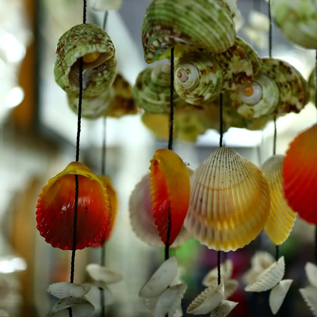 Beautifully decorate diyas at home using that stack of seashells you gathered during your beach walk