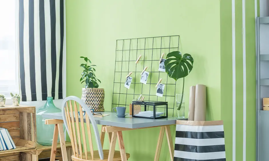 Black and white curtain against the green wall aesthetic this color curtains go with light green walls.