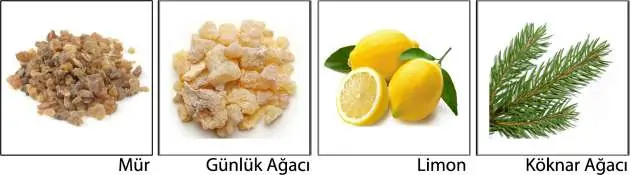 Çakralar | renk aromaterapi ve yoga pozları ile aktivasyon