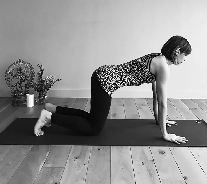 Adho mukha svanasana satangasana mini kobra akisi 4 2