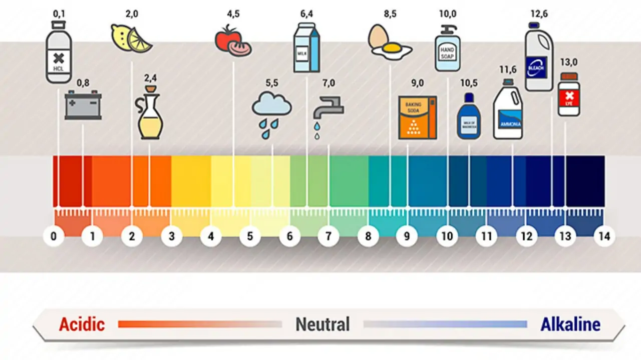 Alkali beslenme 2