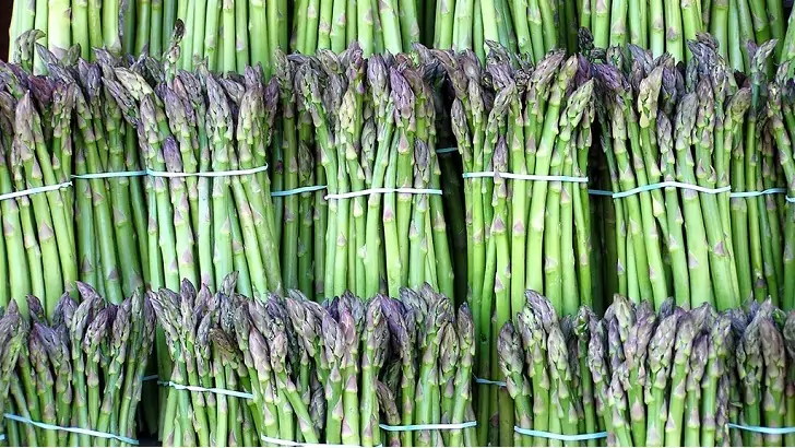 asparagus bitkisi nasil yetisir