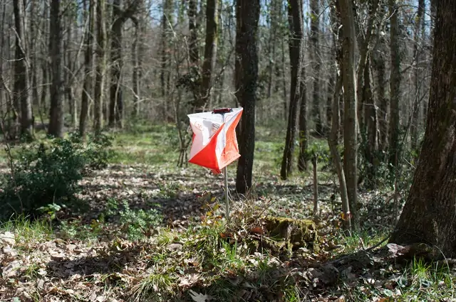 Istanbul orienteering spring cup