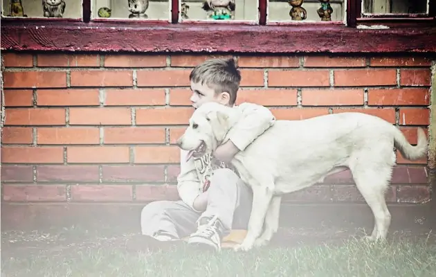 Köpekle dostluk yaşayan çocuğun harika fotoğrafları