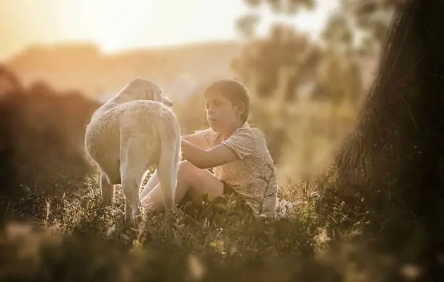 Köpekle dostluk yaşayan çocuğun harika fotoğrafları