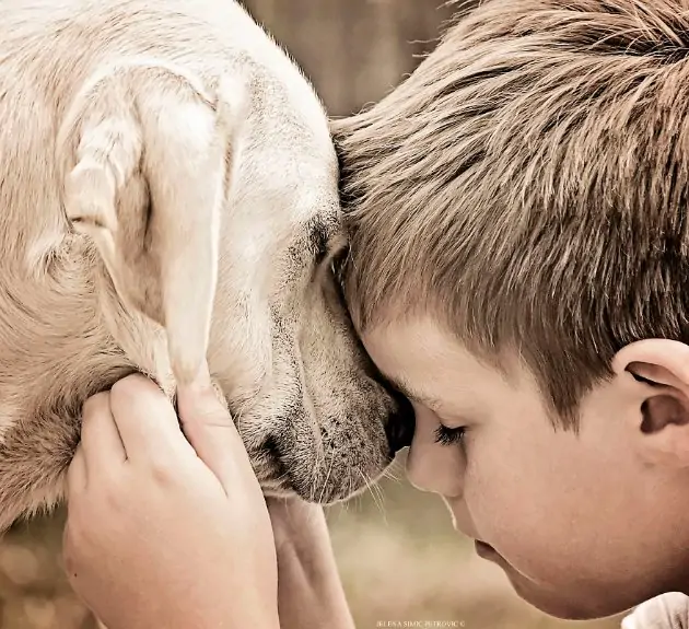 Köpekle dostluk yaşayan çocuğun harika fotoğrafları