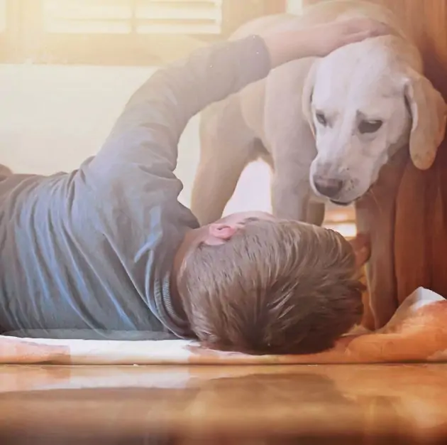 Köpekle dostluk yaşayan çocuğun harika fotoğrafları