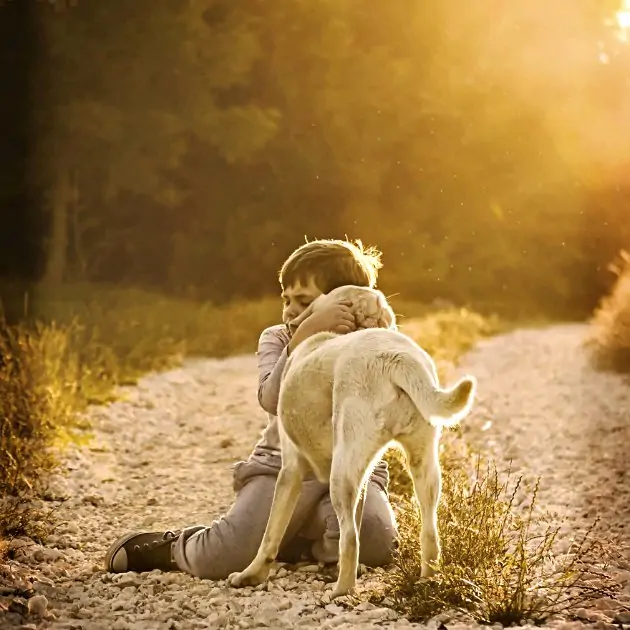 Köpekle dostluk yaşayan çocuğun harika fotoğrafları