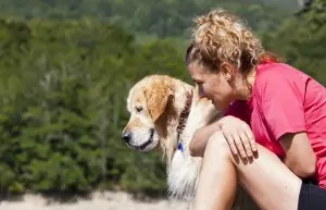 Bir adet köpek edinmek istermiydiniz