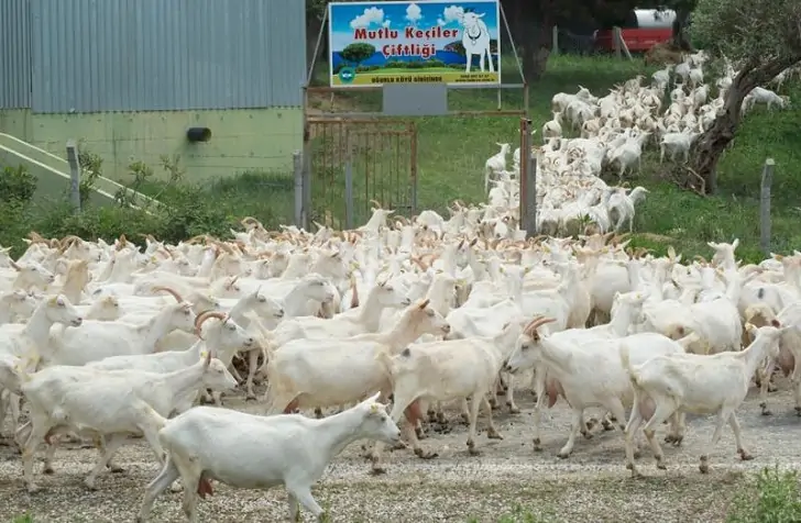 Gökkuşağı elbise yapımı 1