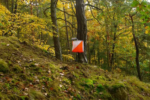 Orienteering control 02