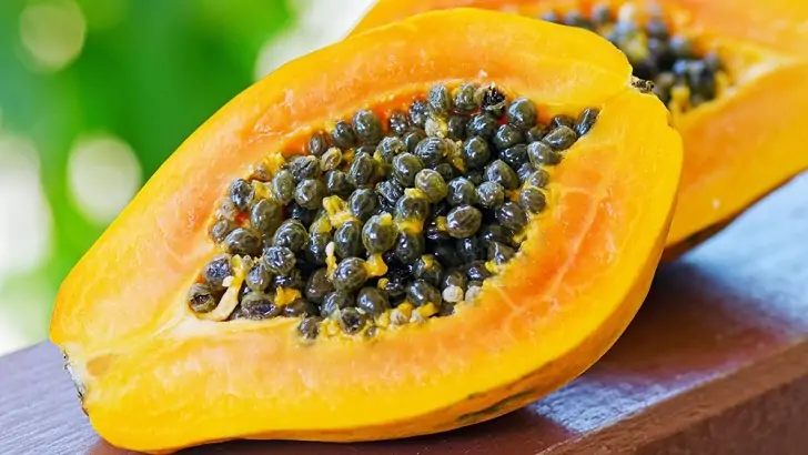 papaya nasil yetisir