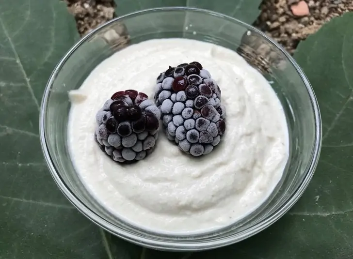 Probiyotikli çiğ vegan yoğurt tarifi