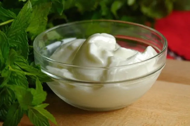 Yogurt2